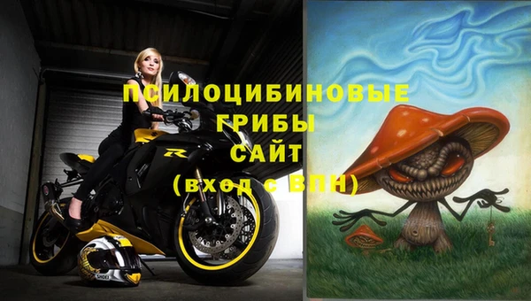2c-b Алзамай